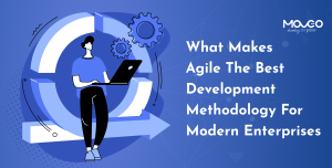 What Makes Agile the Best Development Methodology for Modern Enterprises